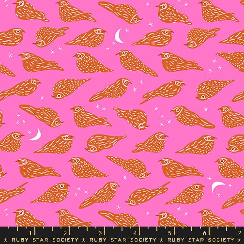 Bird is the Word: Whippoorwill in Lipstick Bird is the Word: Whippoorwill in Lipstick