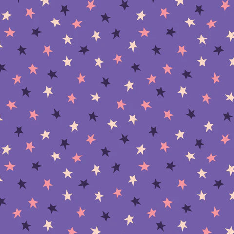 Wildest Dreams // Starry Sky // Rachel Parker