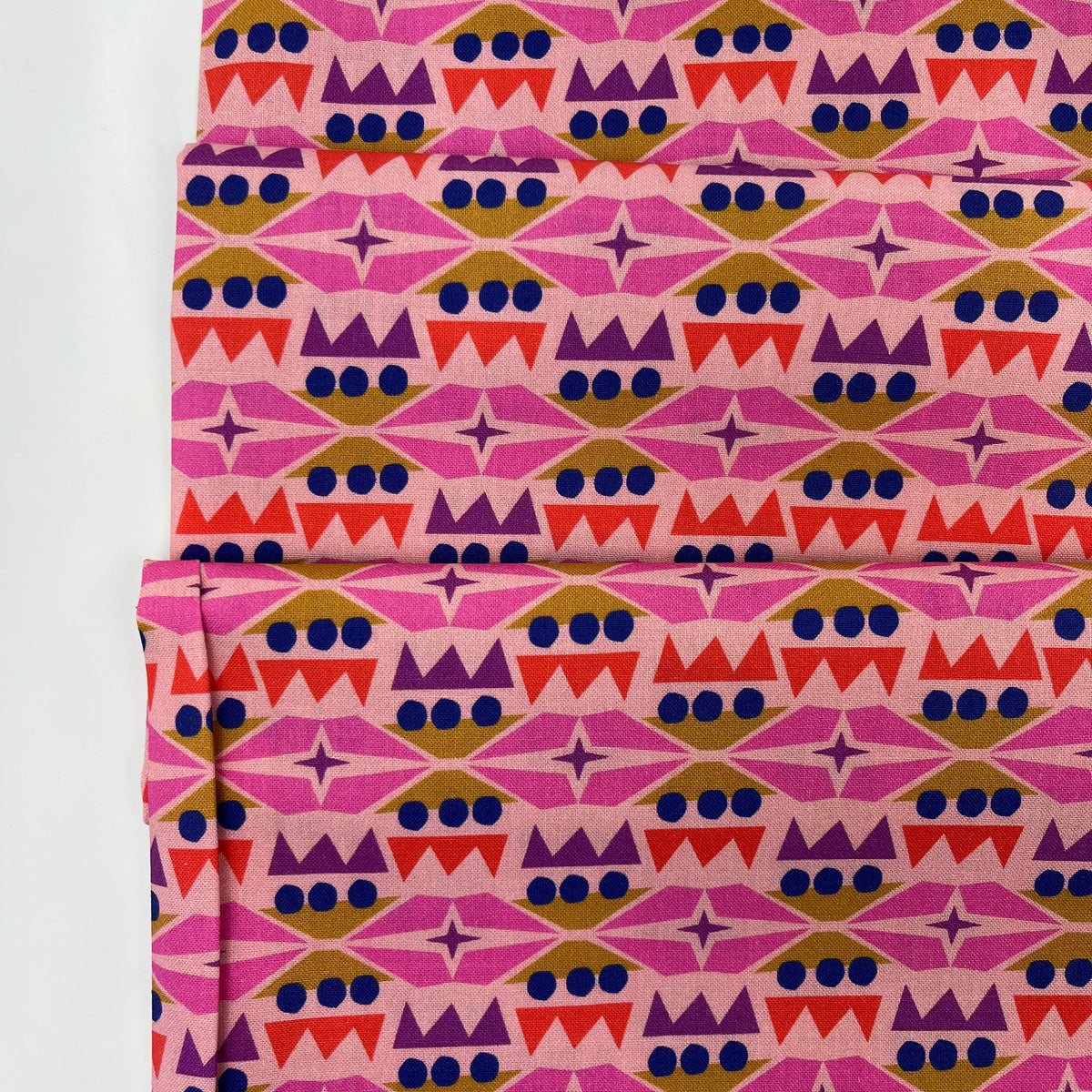 Wonder Jungle // Vivid Cohesion // Pip & Lo