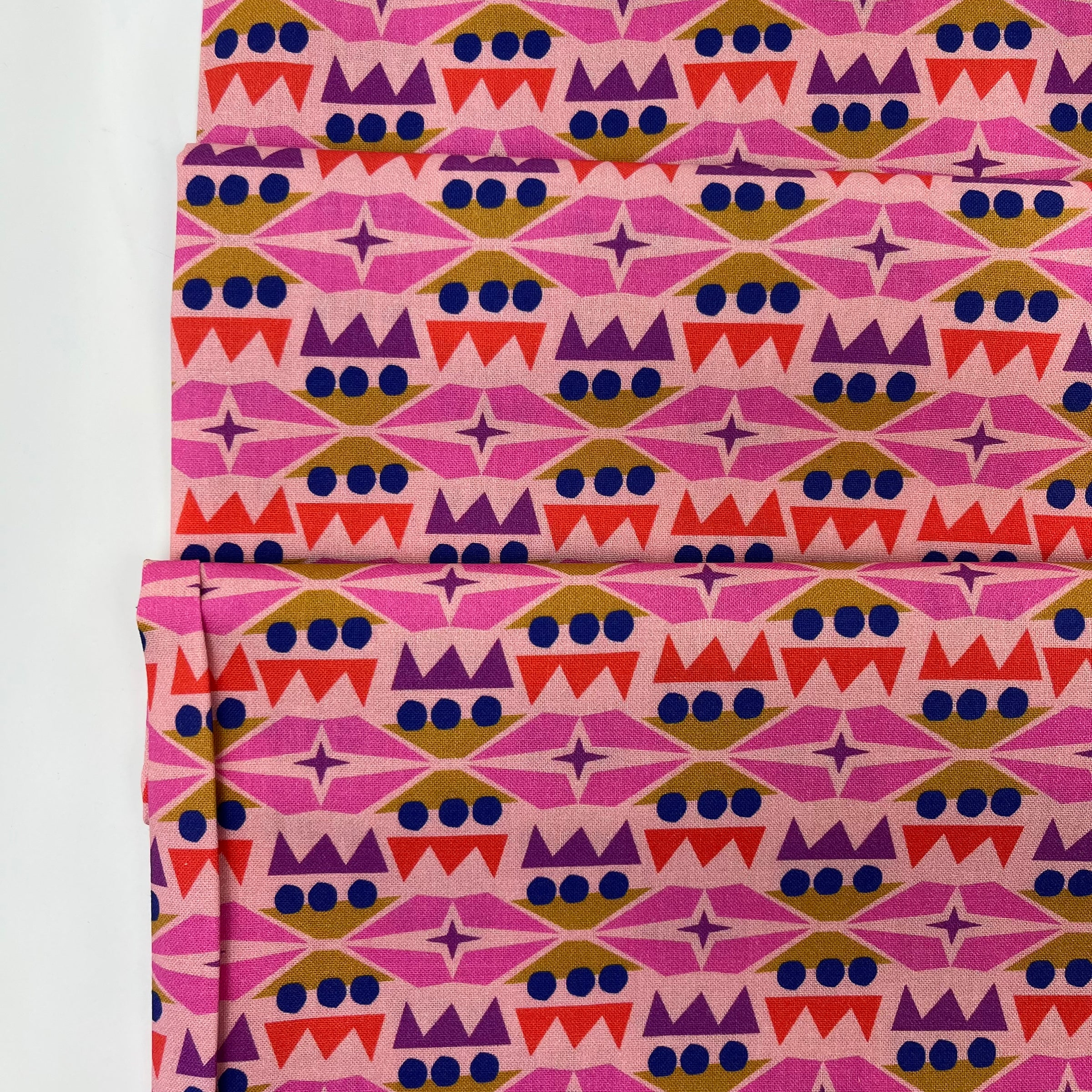 Wonder Jungle // Vivid Cohesion // Pip & Lo