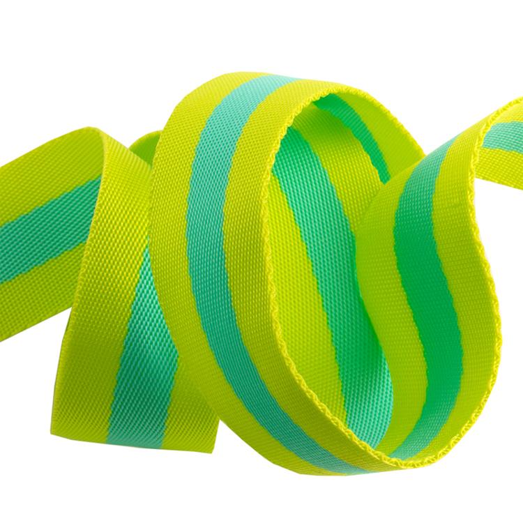 1 1/2" Webbing // Lime & Aqua // Tula Pink