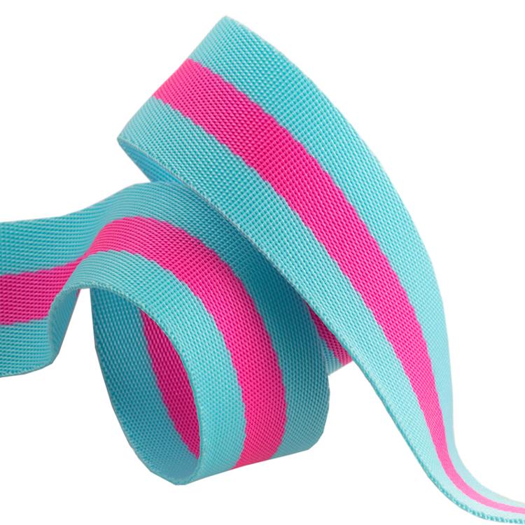 1 1/2" Webbing // Aqua & Hot Pink // Tula Pink