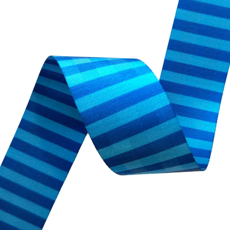Blue Stripe - 2" Webbing // Sassafras Lane