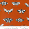 Noir // Mystic Moth - Pumpkin // Alli K. Designs