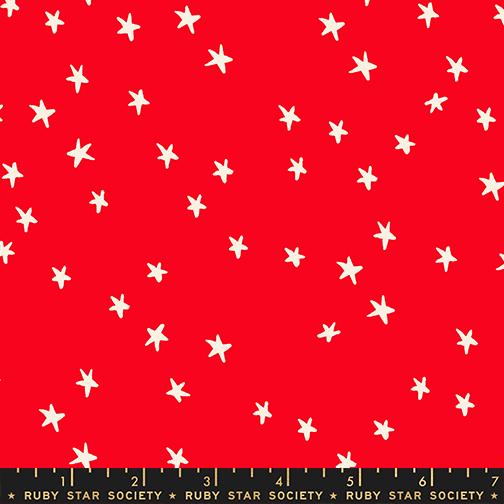 2025 Starry // Ladybug // Alexia Abegg