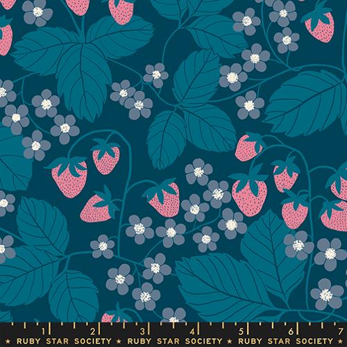PRE-ORDER Reimagined Landscapes // Strawberry Field - Galaxy // Jen Hewett