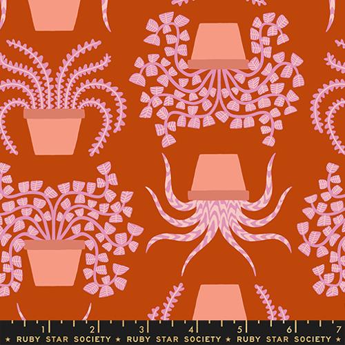 PRE-ORDER Calathea // Planties - Cayenne // Ruby Star Society
