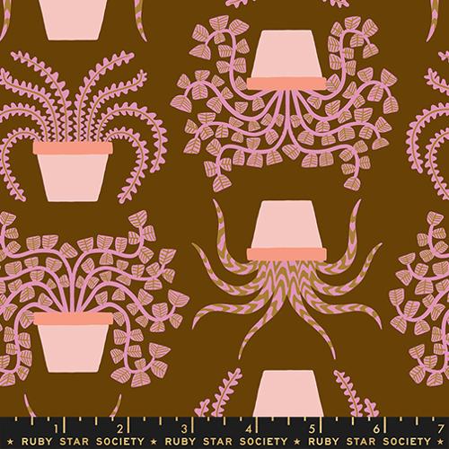 PRE-ORDER Calathea // Planties - Cocoa // Ruby Star Society
