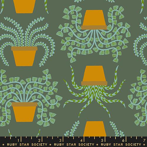 PRE-ORDER Calathea // Planties - Seaweed // Ruby Star Society