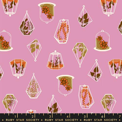 PRE-ORDER Calathea // Terrarium - Kiss // Ruby Star Society