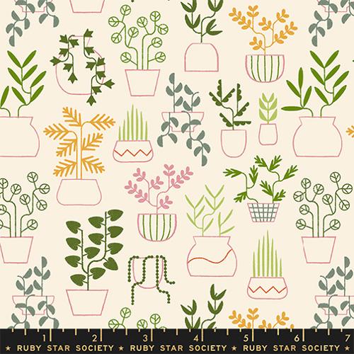 PRE-ORDER Calathea // Plant Life - Natural // Ruby Star Society