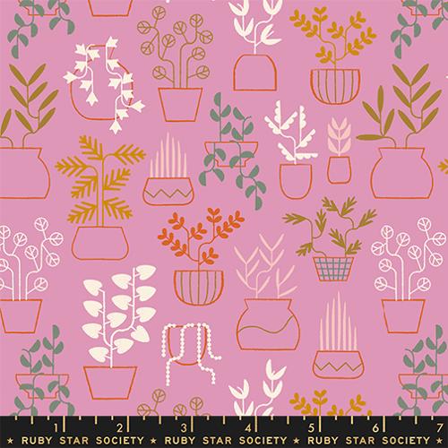 PRE-ORDER Calathea // Plant Life - Kiss // Ruby Star Society