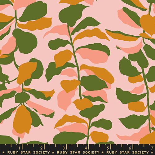 PRE-ORDER Calathea // Fiddle Leaf - Sweet Pink // Ruby Star Society