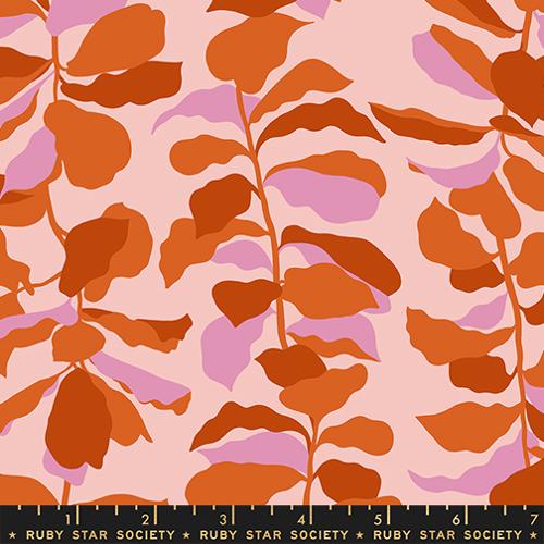PRE-ORDER Calathea // Fiddle Leaf - Cayenne // Ruby Star Society