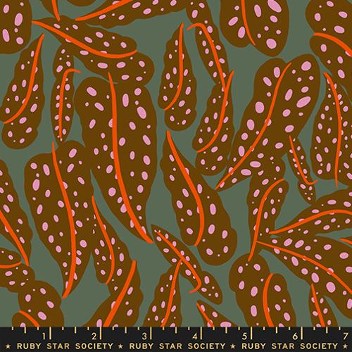 PRE-ORDER Calathea // Overlapping Leaves - Cocoa // Ruby Star Society