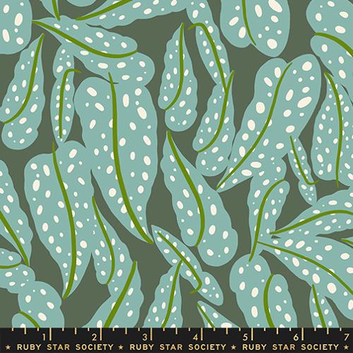 PRE-ORDER Calathea // Overlapping Leaves - Seaweed // Ruby Star Society