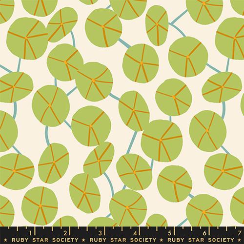 PRE-ORDER Calathea // Pilea - Natural // Ruby Star Society