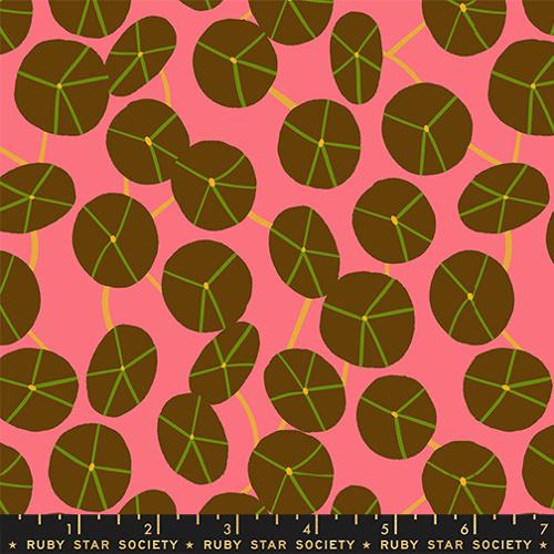 PRE-ORDER Calathea // Pilea - Strawberry // Ruby Star Society