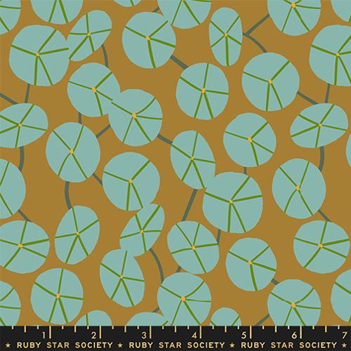 PRE-ORDER Calathea // Pilea - Suede // Ruby Star Society