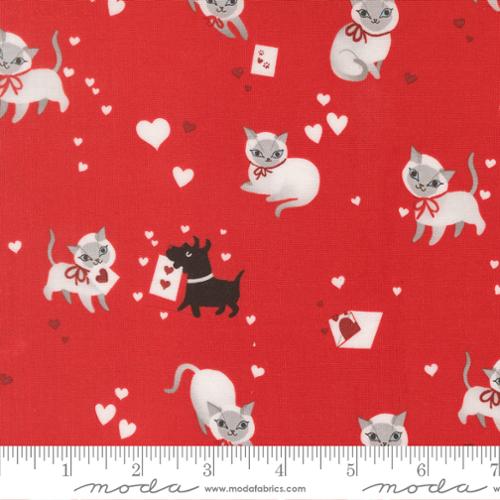 PRE-ORDER Funny Valentine // Kitty - Love // Lizzy House