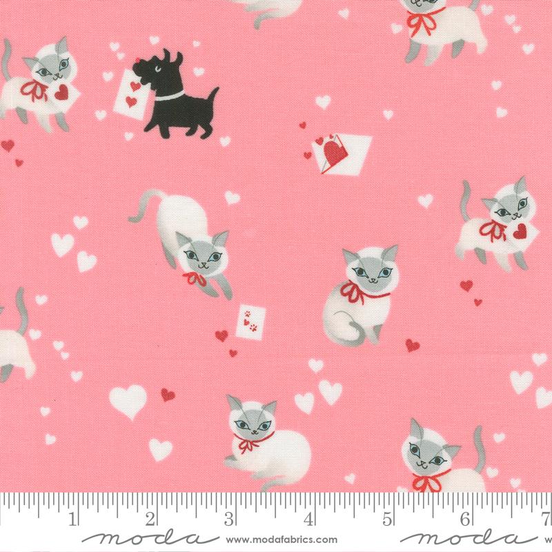 PRE-ORDER Funny Valentine // Kitty - Ballerina // Lizzy House