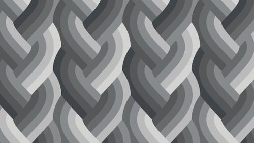 PRE-ORDER Echo // Braid - Black Ombre // Emily Van Hoff