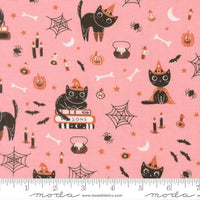 Purrs and Boos // Cats - Candy // Elena Amo