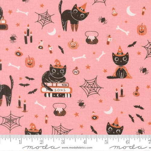 PRE-ORDER Purrs and Boos // Cats - Candy // Elena Amo