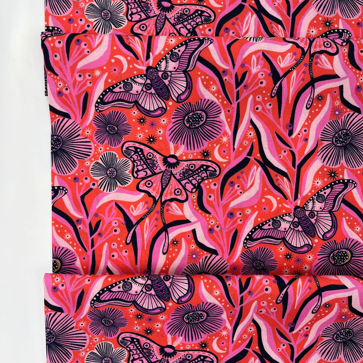 Wonder Jungle // Fiery Nymphs // Pip & Lo