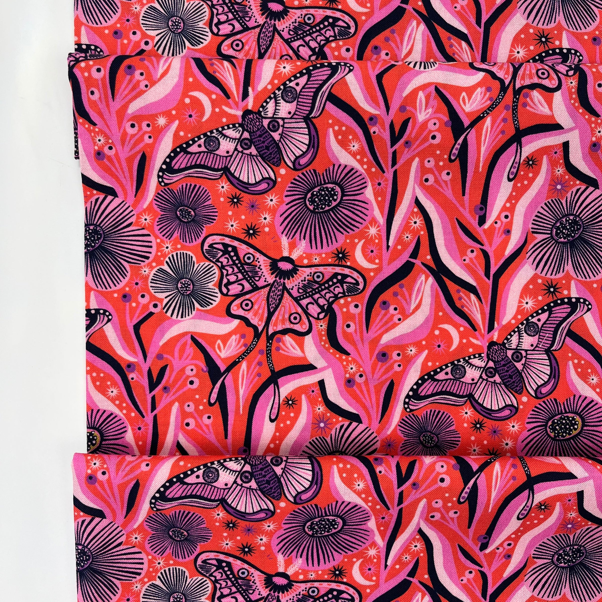 Wonder Jungle // Fiery Nymphs // Pip & Lo