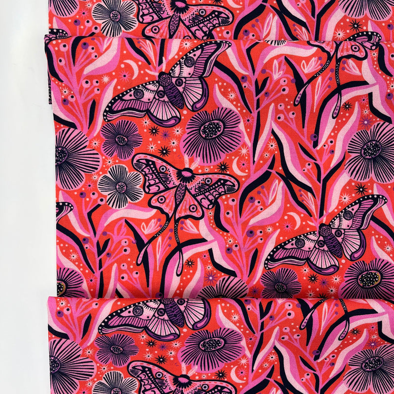 Wonder Jungle // Fiery Nymphs // Pip & Lo