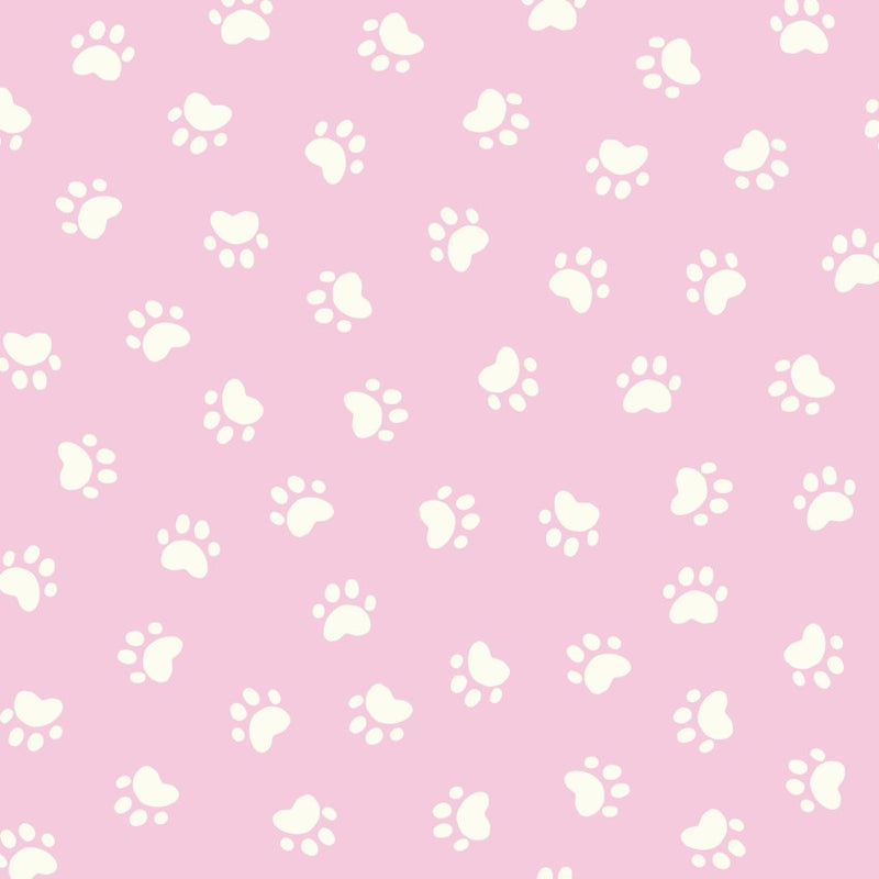 PRE-ORDER Playful Dogs // Concrete Was Not Dry - Pink // Aidi Riera