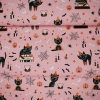 Purrs and Boos // Cats - Candy // Elena Amo