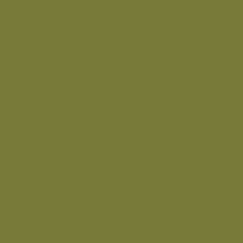 PRE-ORDER FLANNEL // Olive // AGF Studio