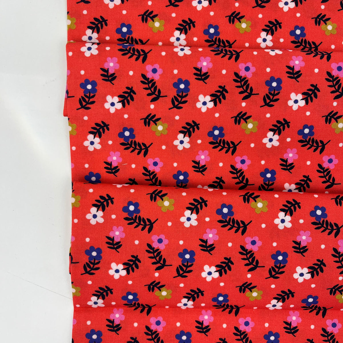 Wonder Jungle // Jazzy Floret // Pip & Lo