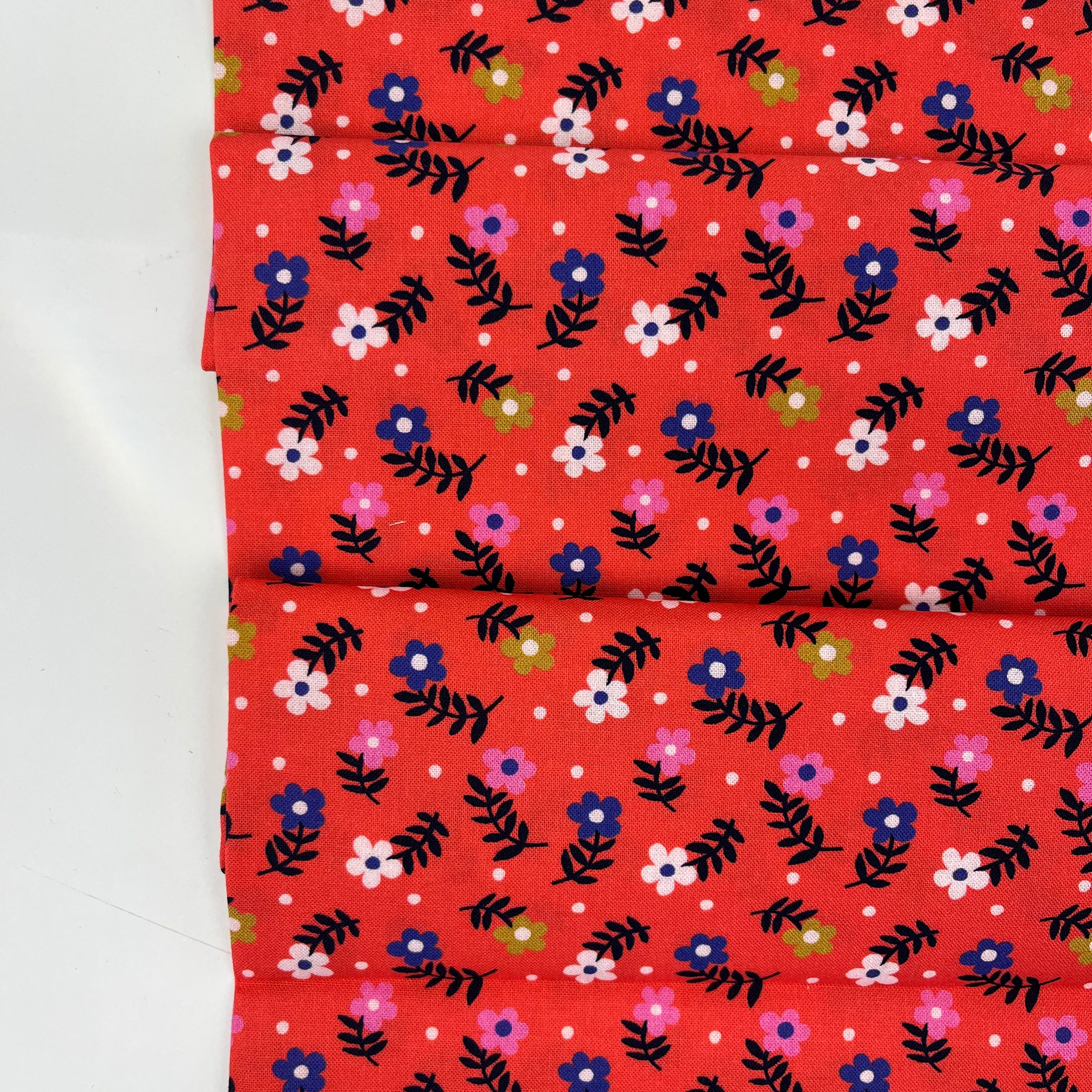 Wonder Jungle // Jazzy Floret // Pip & Lo