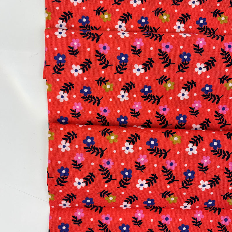 Wonder Jungle // Jazzy Floret // Pip & Lo