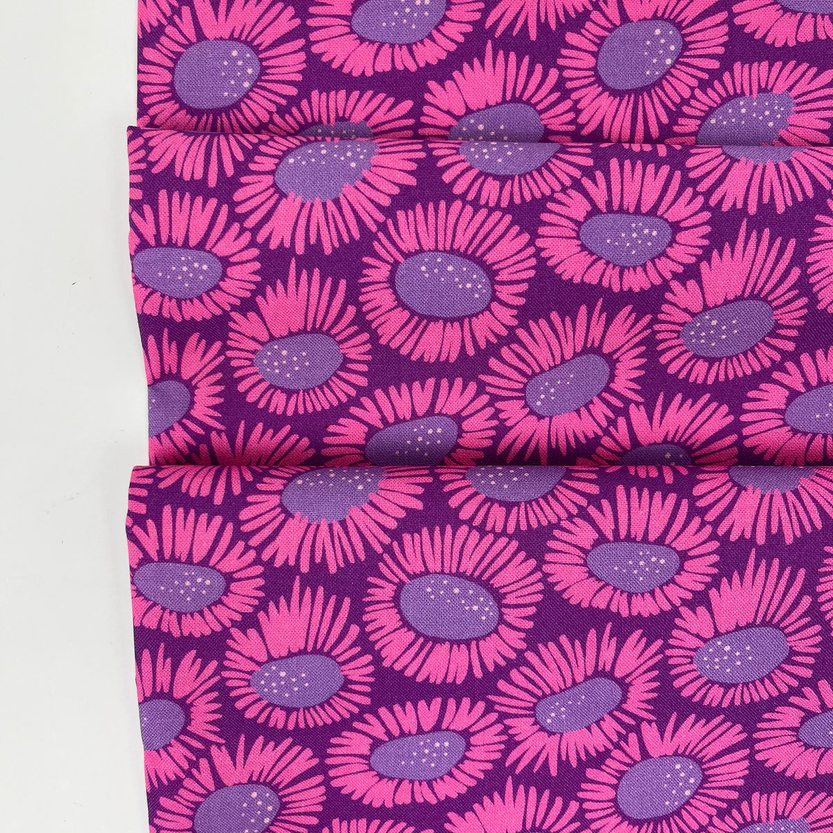 Wonder Jungle // Wild Daisies // Pip & Lo