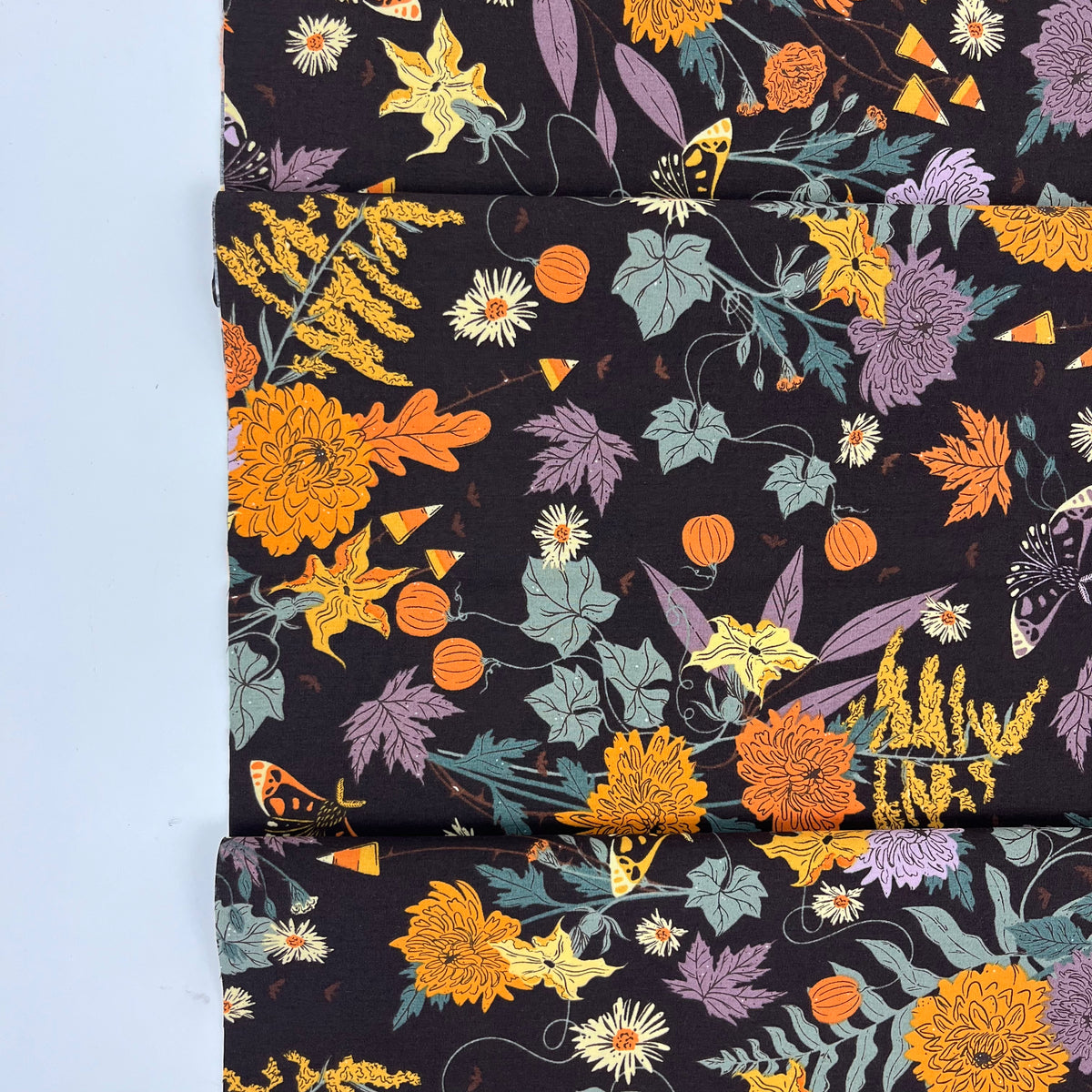 Ghostly & Haunted // Wicked Flora // AGF Studio