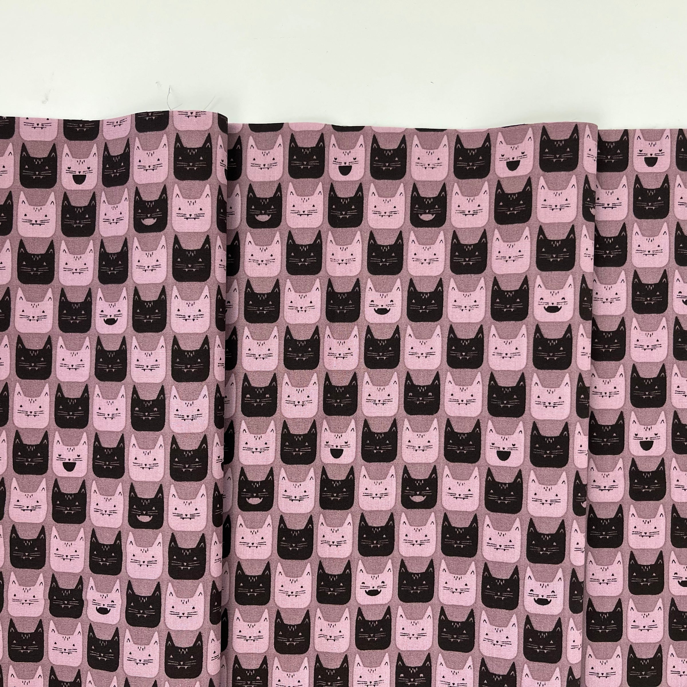 Ghostly & Haunted // Midnight Meow // AGF Studio