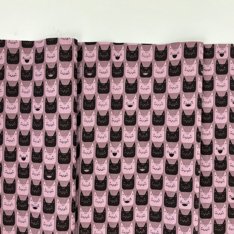 Ghostly & Haunted // Midnight Meow // AGF Studio