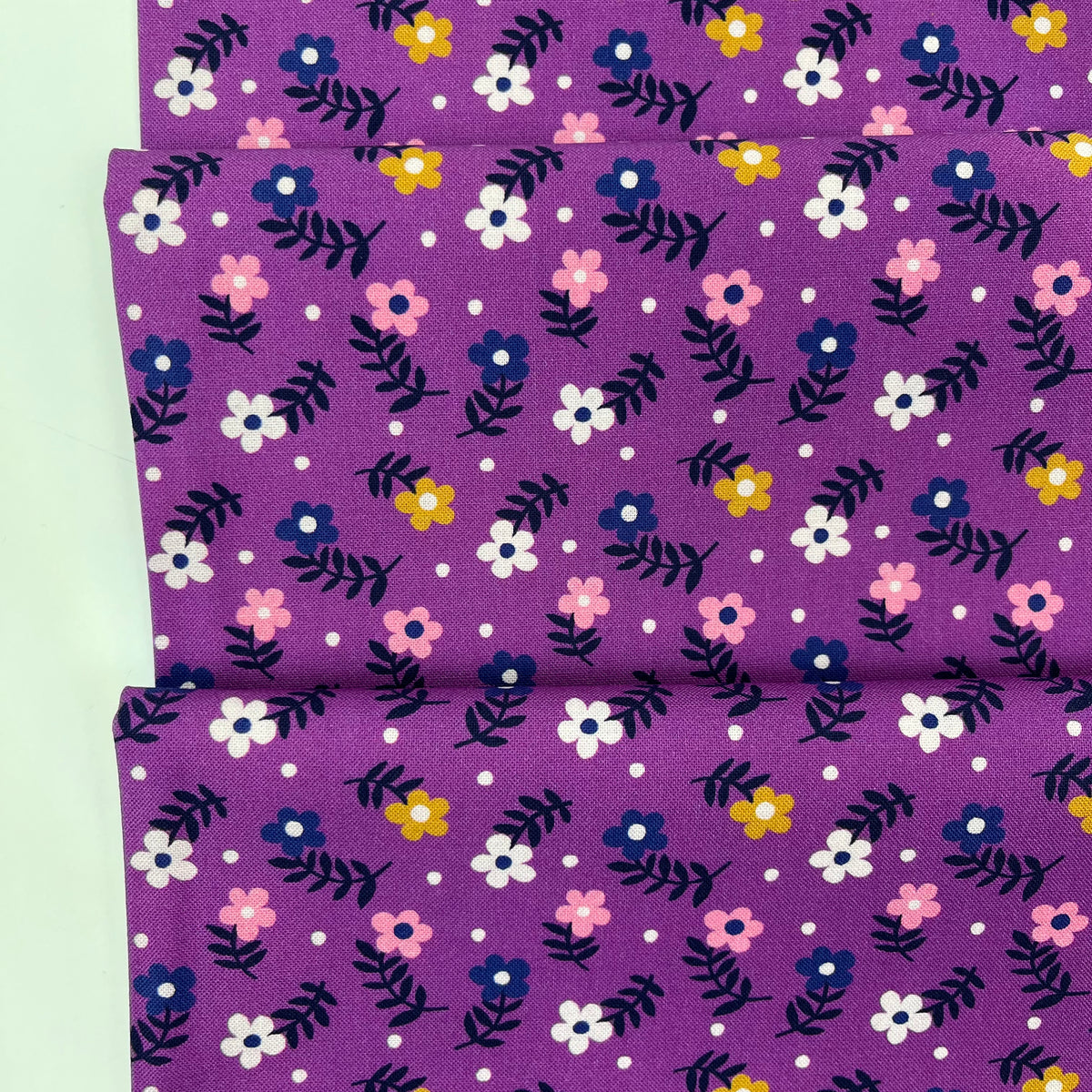 Wonder Jungle // Moody Floret // Pip & Lo