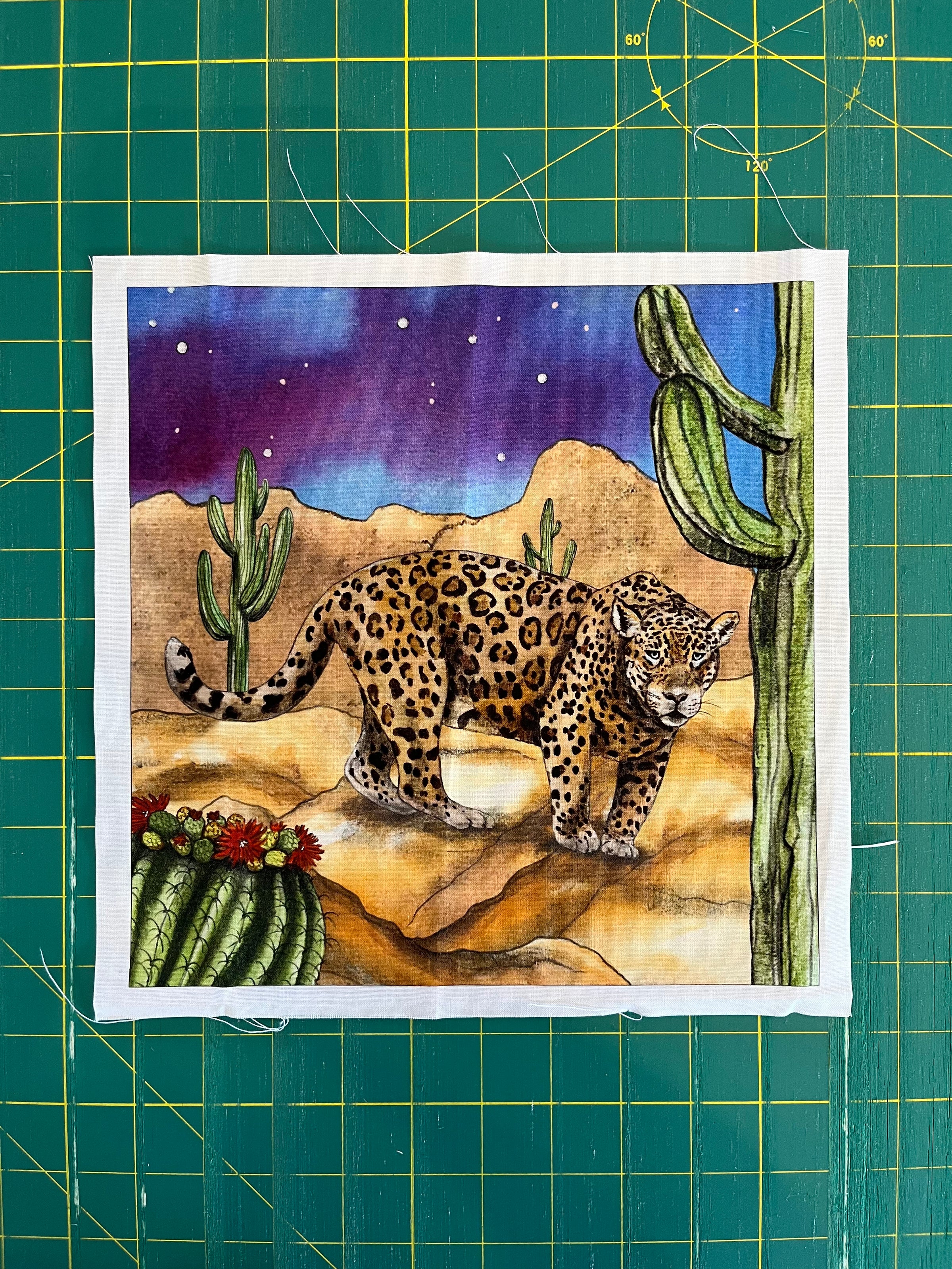 2026 Shop Hop Panel Sets