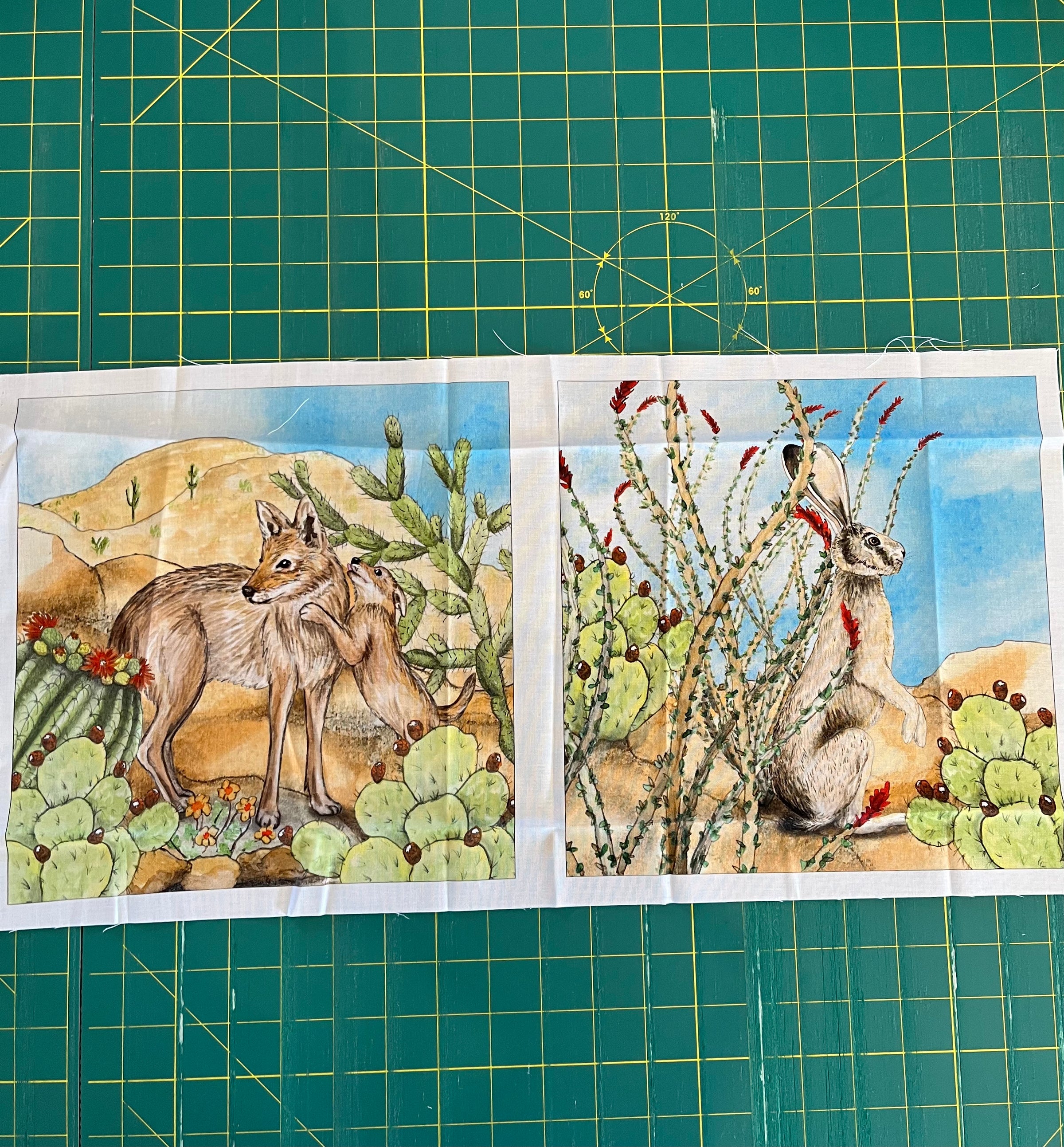 2026 Shop Hop Panel Sets