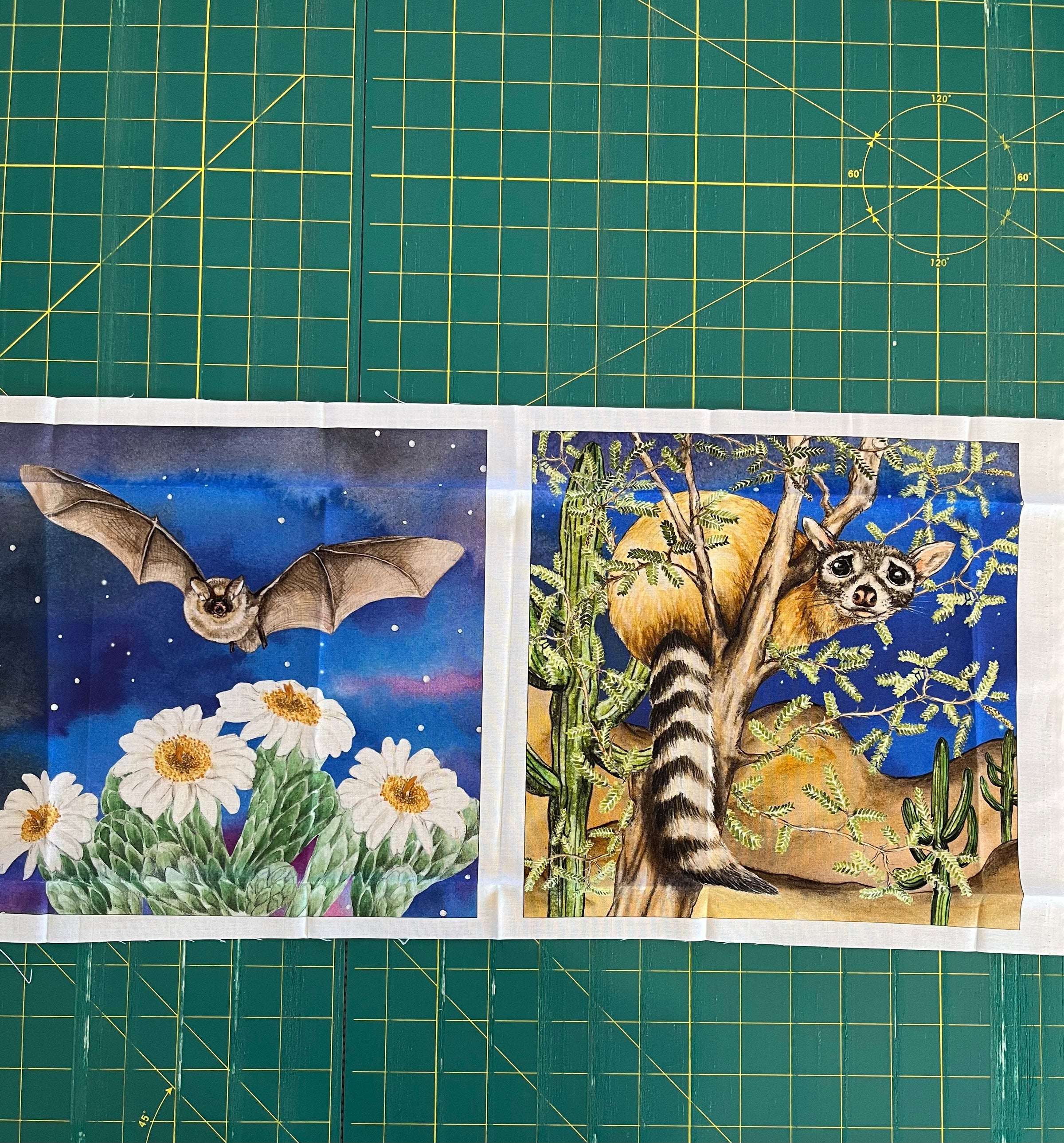 2026 Shop Hop Panel Sets