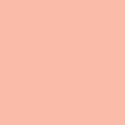 PRE-ORDER New 2025 AGF PURE Solids // Popsicle
