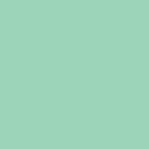 New 2025 AGF PURE Solids // Seaglass