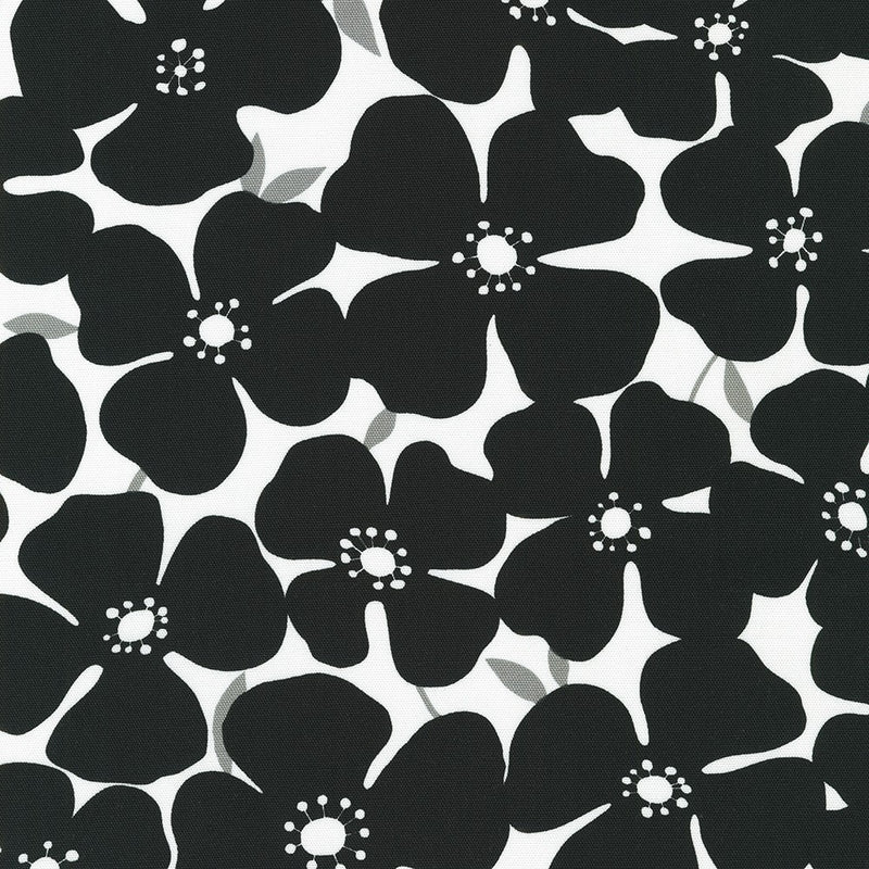 CANVAS // Black Flowers // Sevenberry