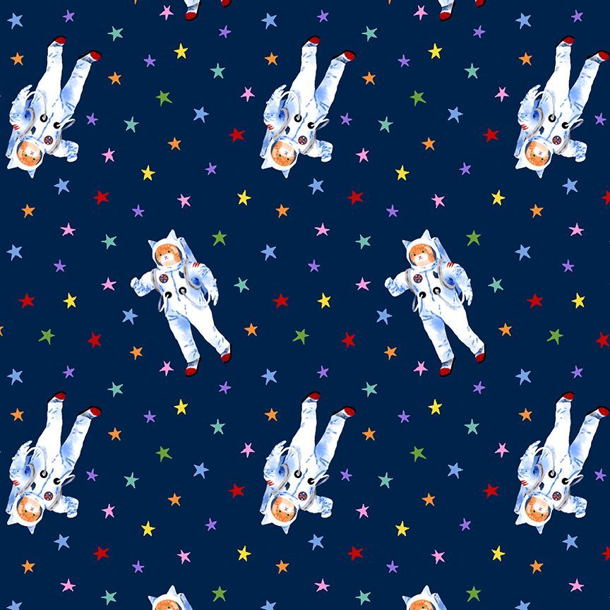 PRE-ORDER Meowter Space // Catsa // Pammie Jane