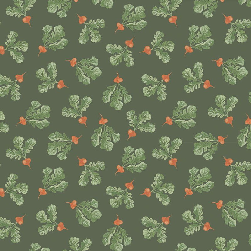 Country Mouse // Radish // Rae Ritchie
